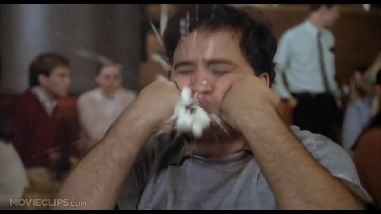 Animal House I'm a zit! Perfect Meme Video Clip