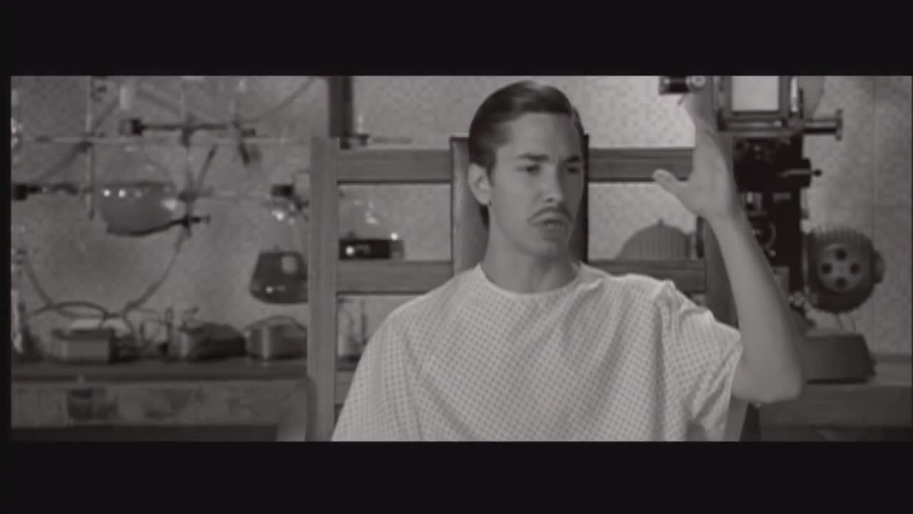 Pineapple Express Everyone Should Smoke It Perfect Meme Video Clip