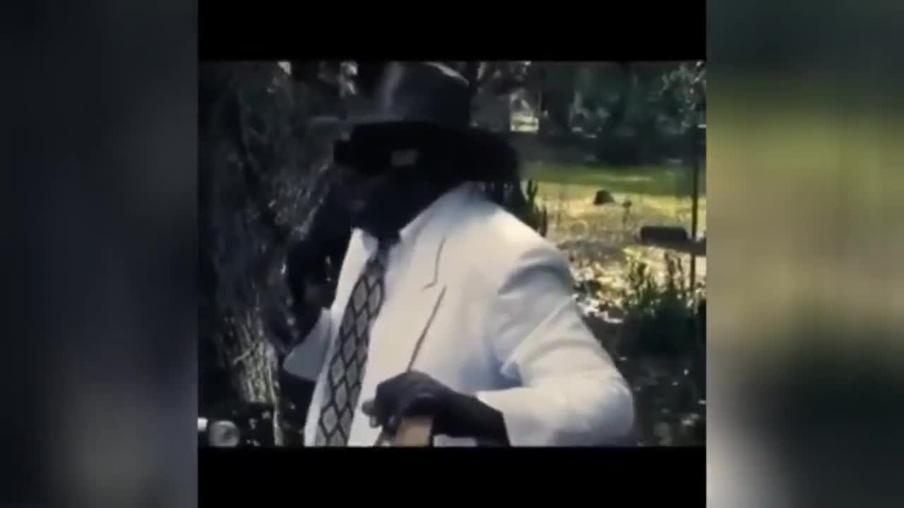 Bishop Bullwinkle Hell To The No No Hell to the Naw video clip by Bishop Bullwinkle