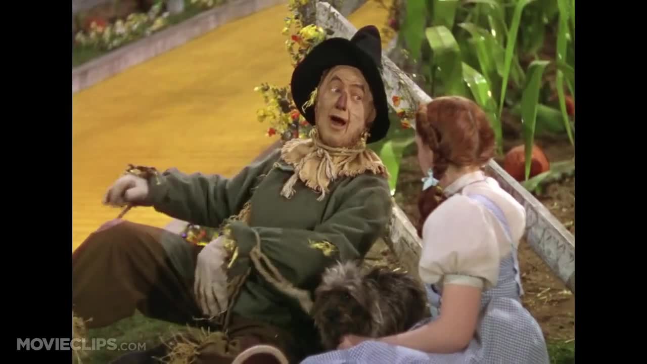 If I only had a brain video clip by The Wizard of Oz