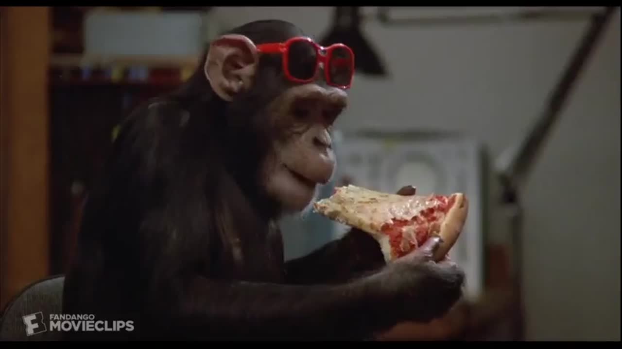 Back to School Monkeys eating pizza
