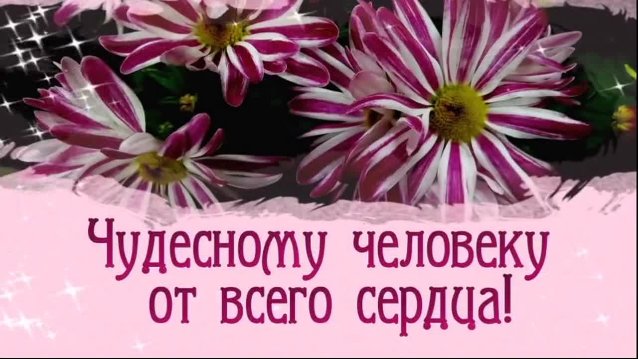 Чудесному человеку от всего сердца! video clip by Niche Cards