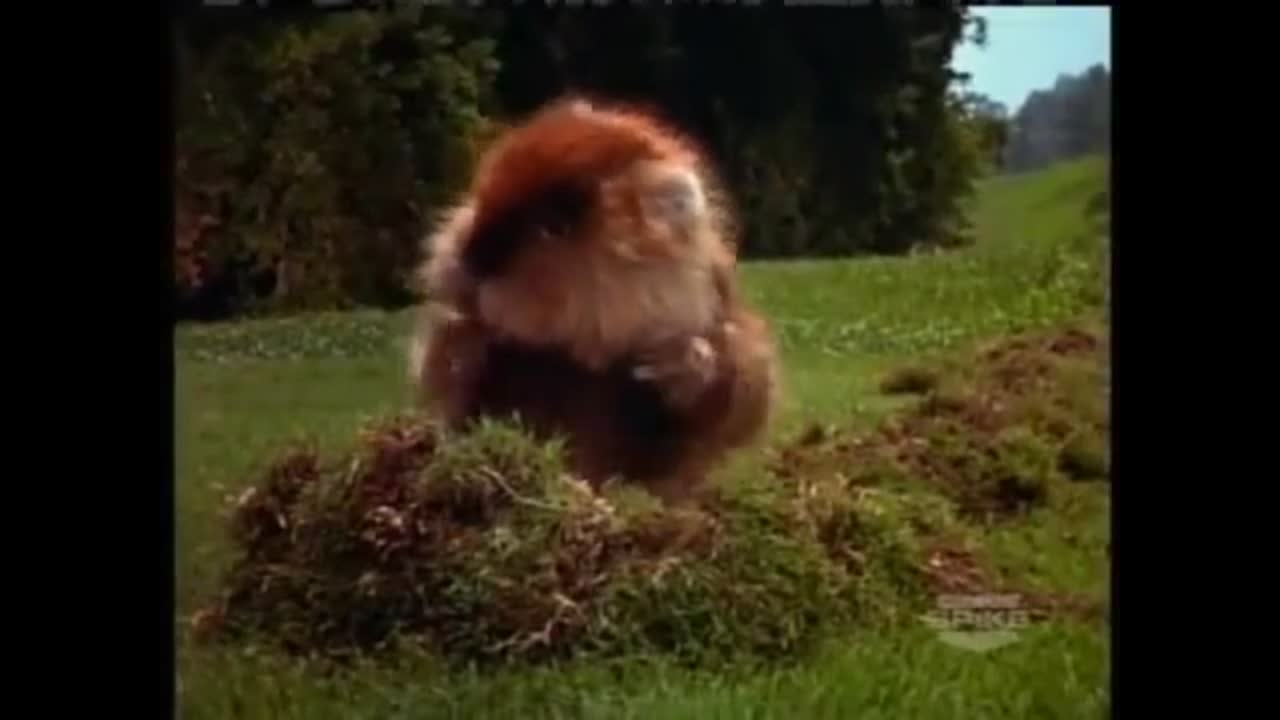 Caddyshack Gopher dancing