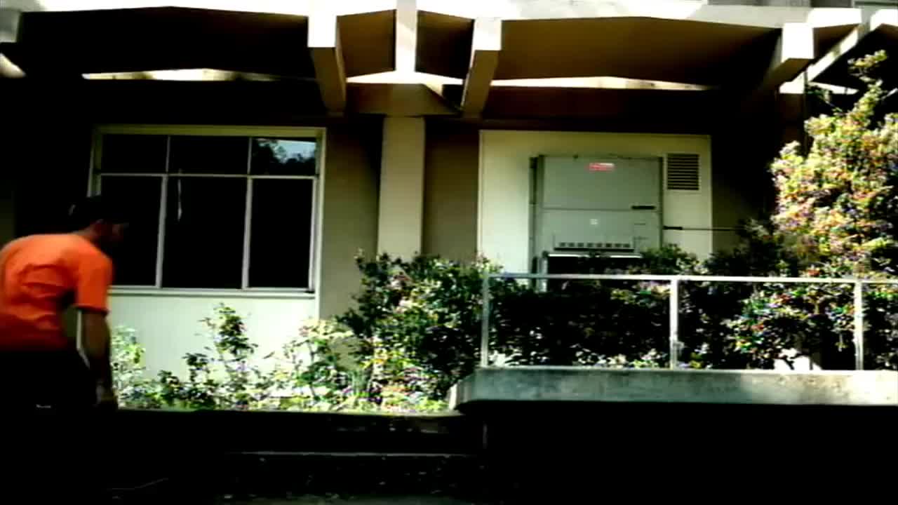 Vitamin C Graduation