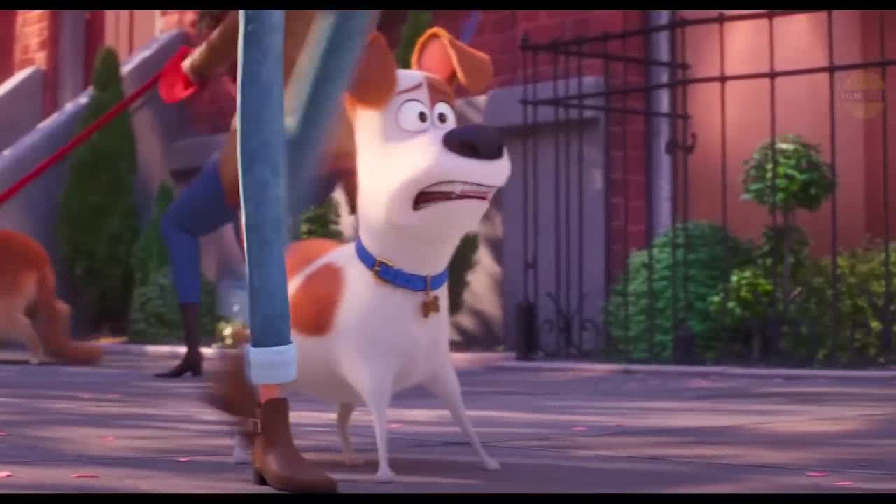 The Secret Life of Pets 2 The vets!? No!