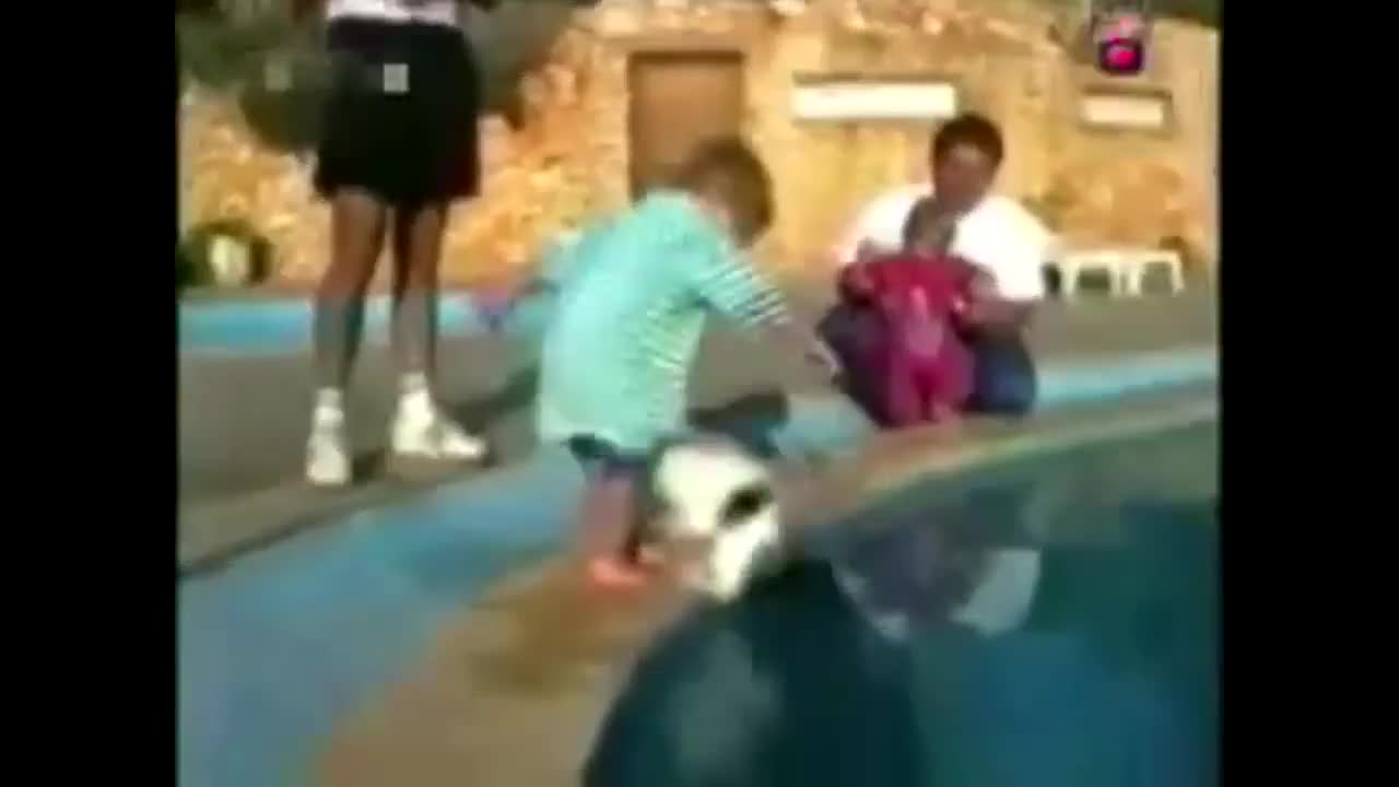 InstaVids Trying to throw the cat