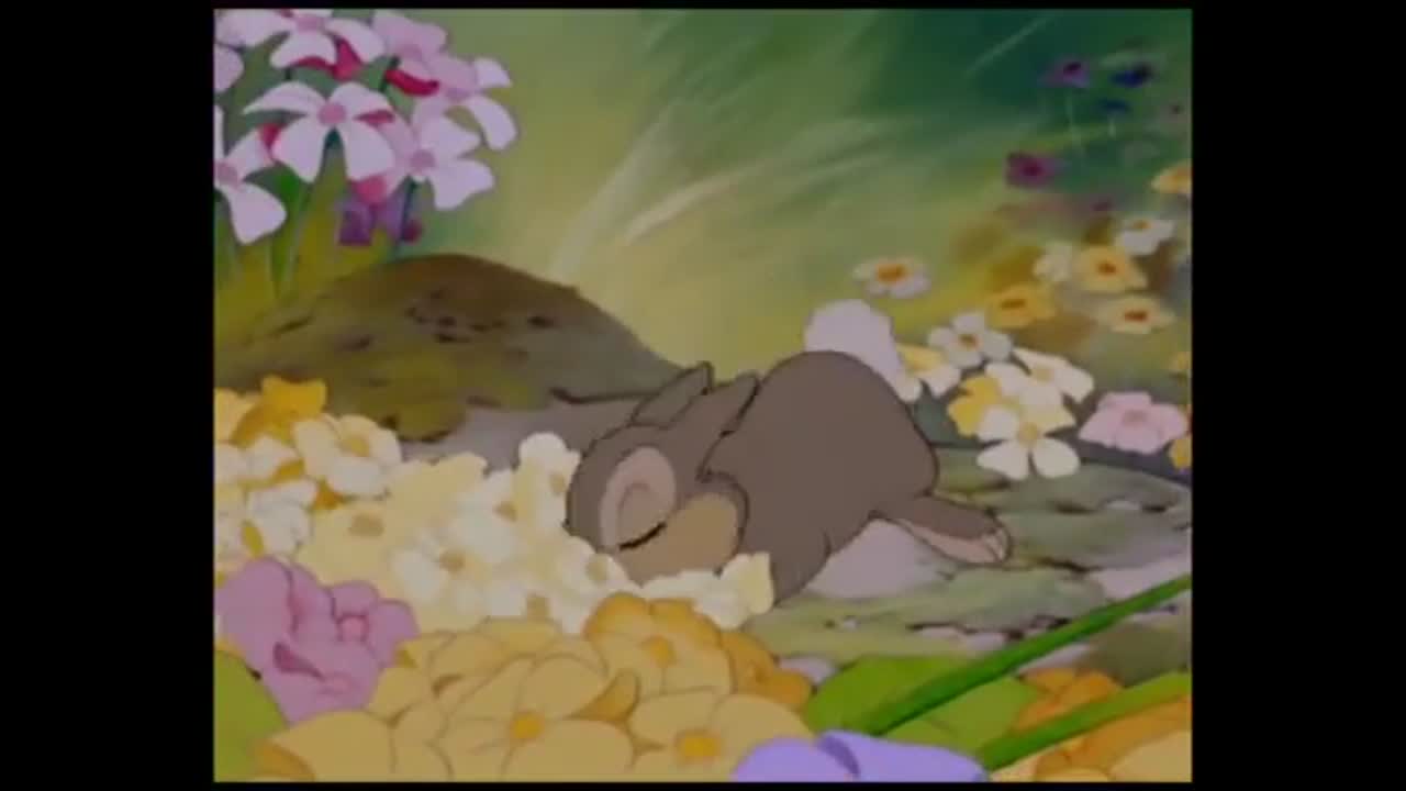 Bambi Smell the flowers Perfect Meme Video Clip