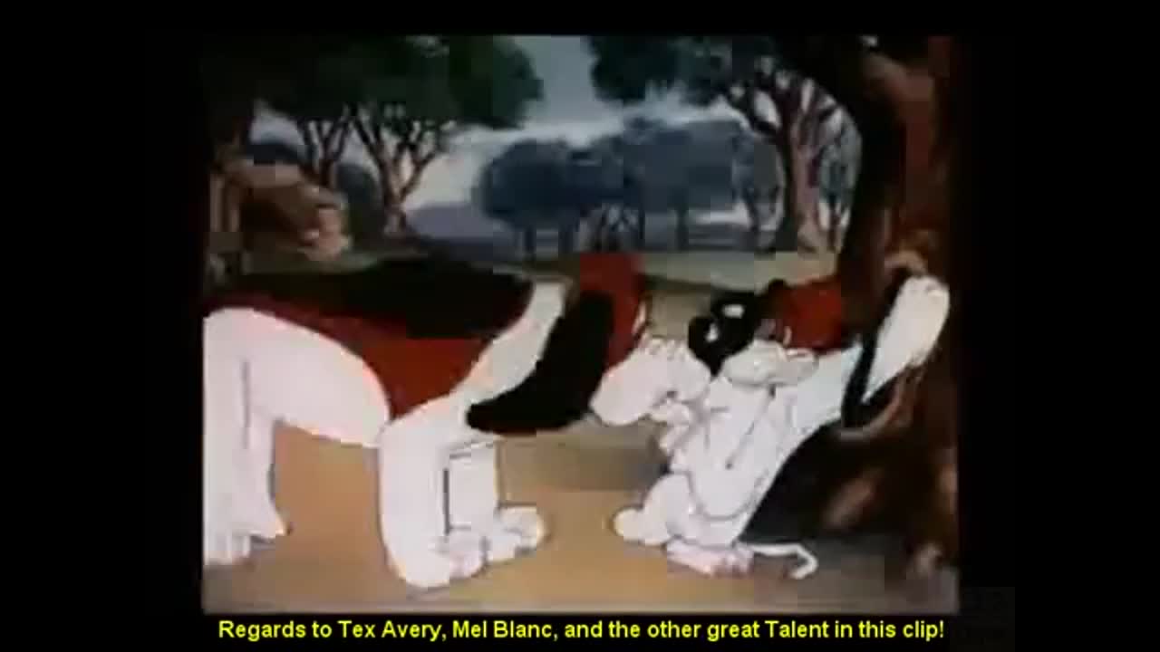 Which way did he go george video clip by looney tunes