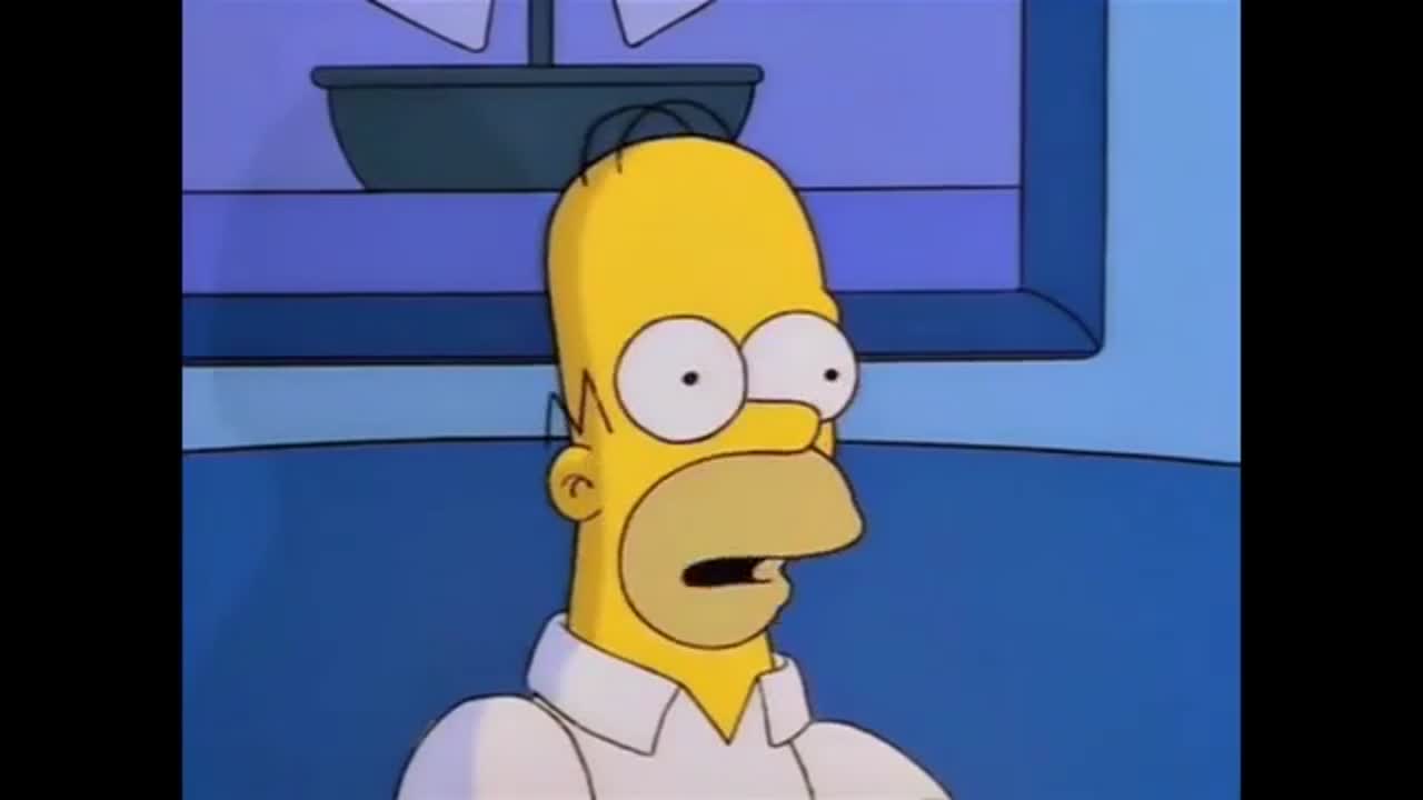 I have absolutely no idea what's going on video clip by The Simpsons