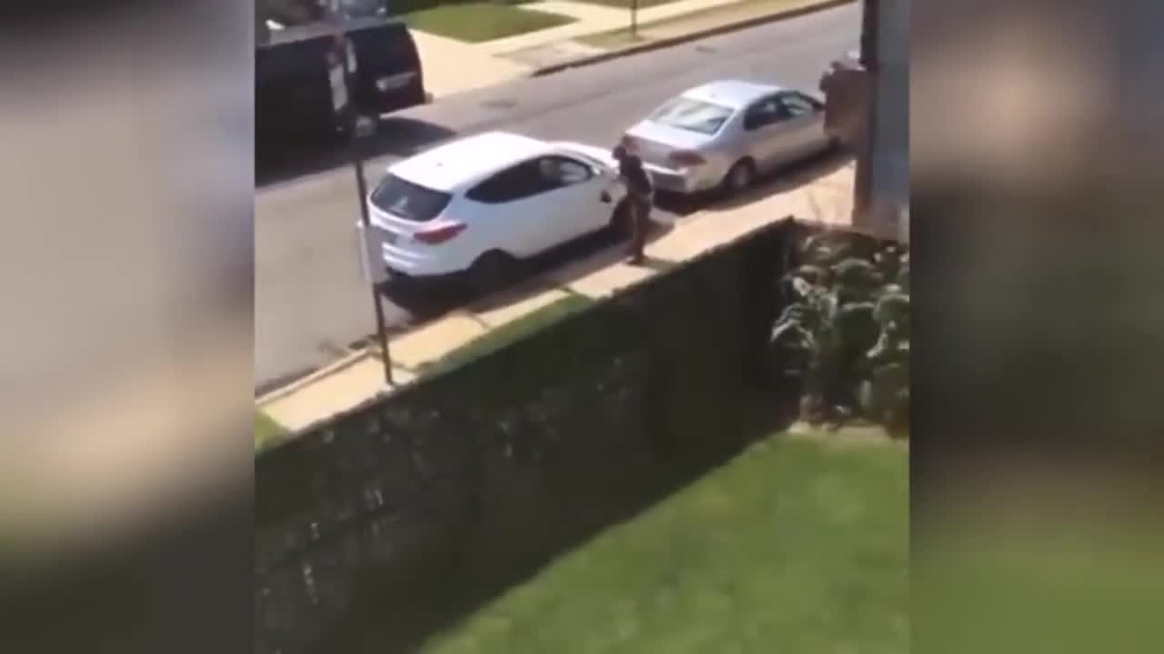 Vine My Cinnamon Apple