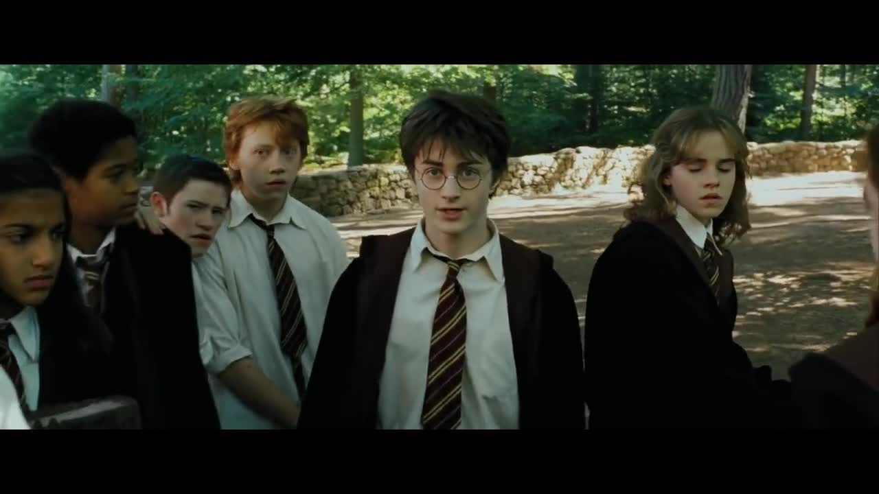 Harry Potter Shut up Malfoy