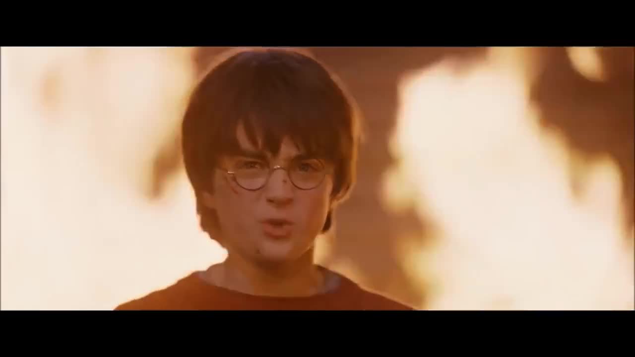 Harry Potter and The Sorcerer's Stone You Liar!