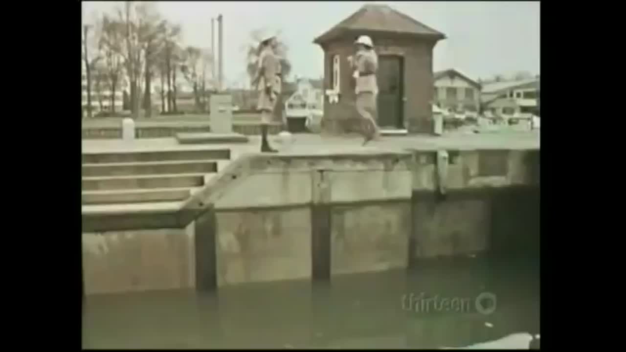 Fish slapping dance video clip by monty python