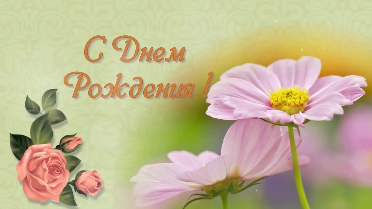 С Днем Рождения! video clip by Niche Cards